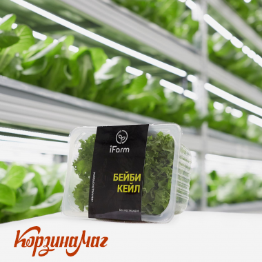 ������� �������� ����� (baby leaves) � �����, ������� 100 ��