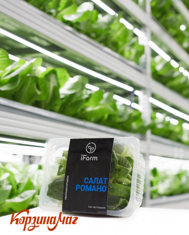 ����� ������� (baby leaves),  � �����, ������� 100 ��